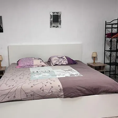 35m2 Terrasse Et Jardin Quartier Calme Au Centre De *