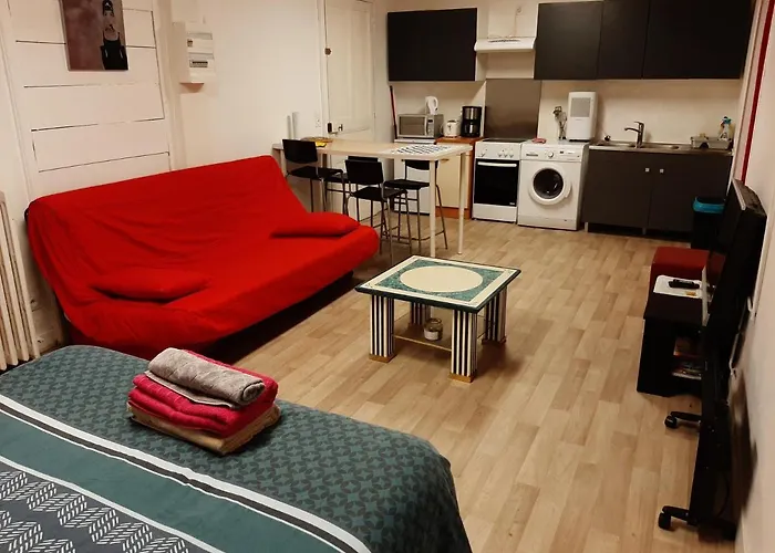 Apartman 35m2 Terrasse Et Jardin Quartier Calme Au Centre De