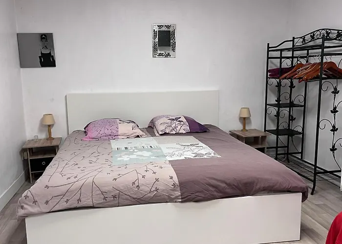 35m2 Terrasse Et Jardin Quartier Calme Au Centre De *